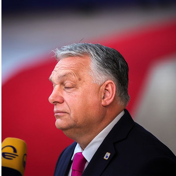 SVT:s EU-reporter och Viktor Orban