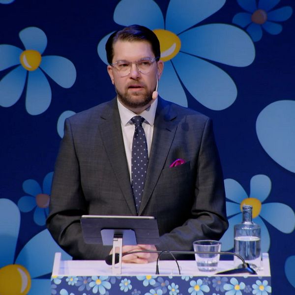 Mats Knutson och Jimmie Åkesson(SD)