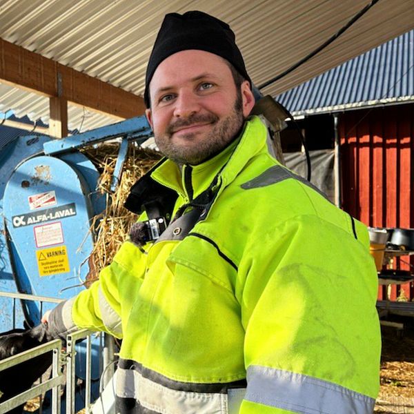 En person i en reflexjacka står framför en foderblandare i en ladugård, omgiven av stängsel och med en bakgrund av skog och en röd byggnad.