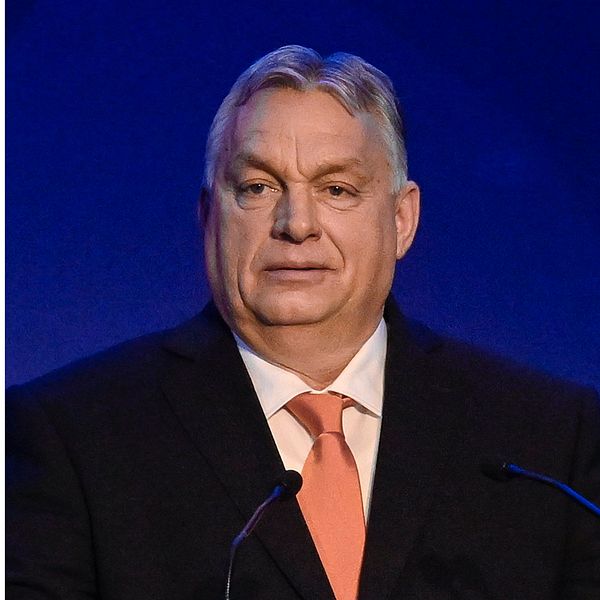 Mats Knutson och Viktor Orbán.