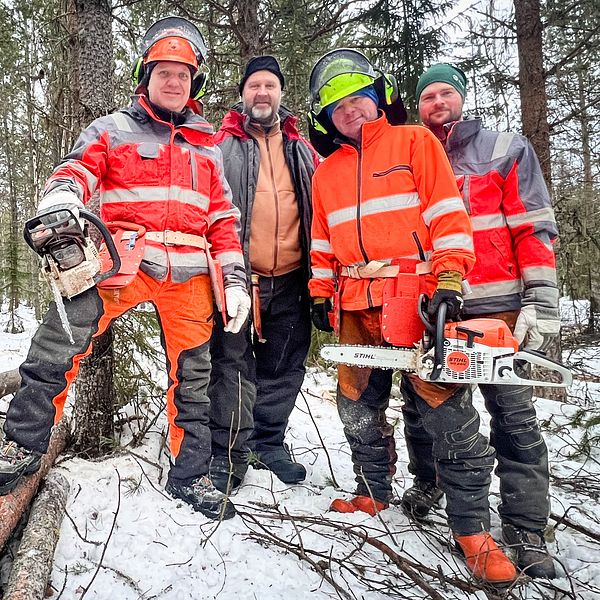 Ett glatt arbetslag poserar med motorsågar vid en hög timmer i snöigt skogslandskap.