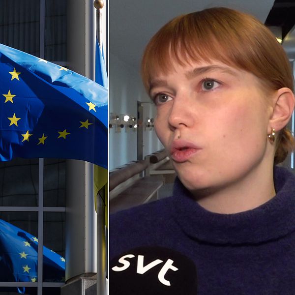 Flaggor: Ukraina och EU. Forskare Minna Ålander vid Utrikespolitiska institutet i Finland, i en SVT-intervju i Stockholm.