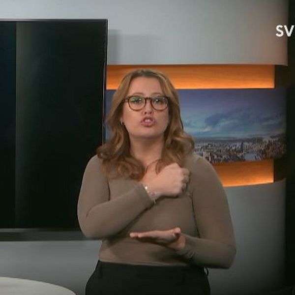 Programledaren tecknar ”styrelse”
