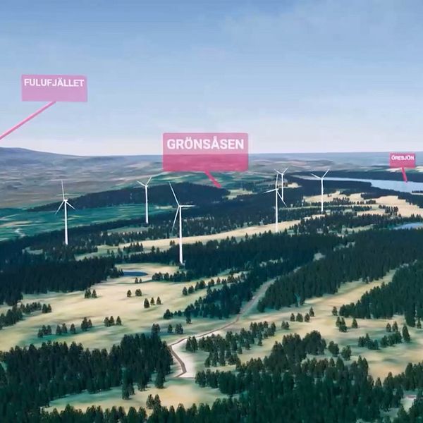 Representant för besparingsskogen samt illustration av planerade vindkraftverk i Särna.