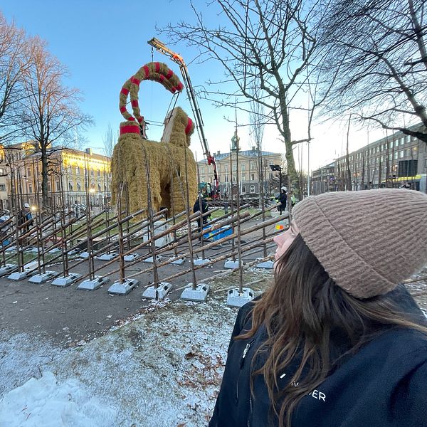 En person tittar upp mot en stor julbock gjord av halm. Bocken är klädd med röda band och håller på att byggas ihop. Träd med bare grenar omger scenen och marken är delvis täckt av snö.