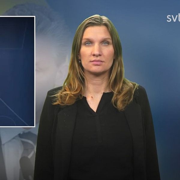 Försvarsminister Pål Jonson och programledare