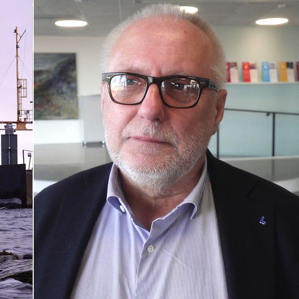 Börje Dovstad (L)