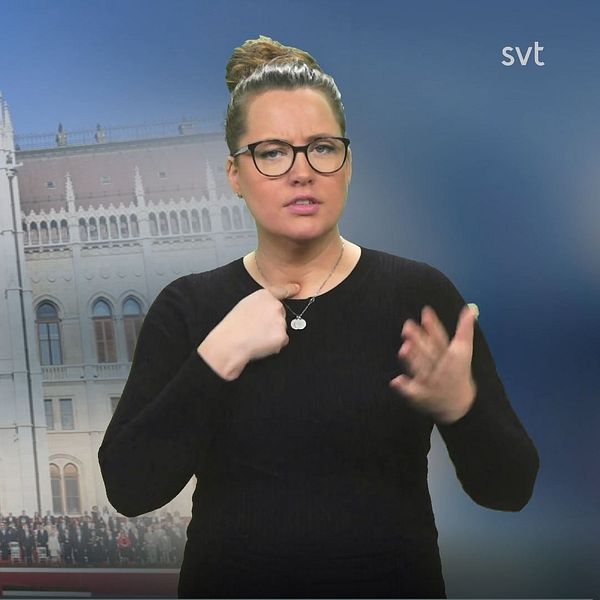 Programledare Alicia tecknar ”rösta” vid en bild på Ungerns parlamentsbyggnad