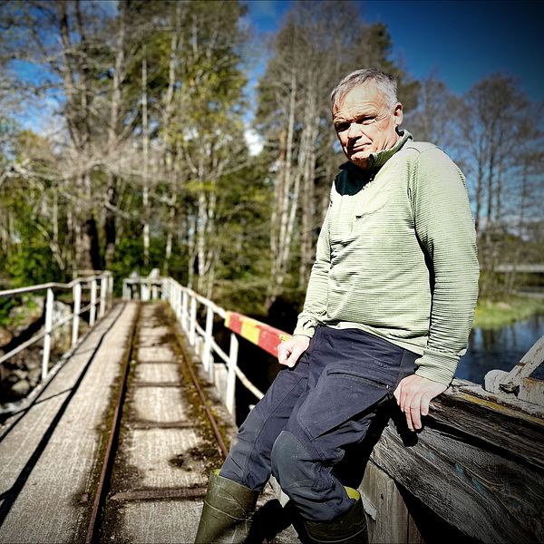 Person sitter på ett räcke vid en gammal träbro omgiven av träd under klarblå himmel.
