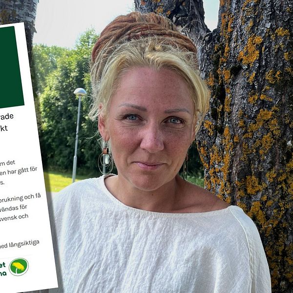 Viktoria Skoog framför Miljöpartiets kampanj mot Googles etablering i Torsboda