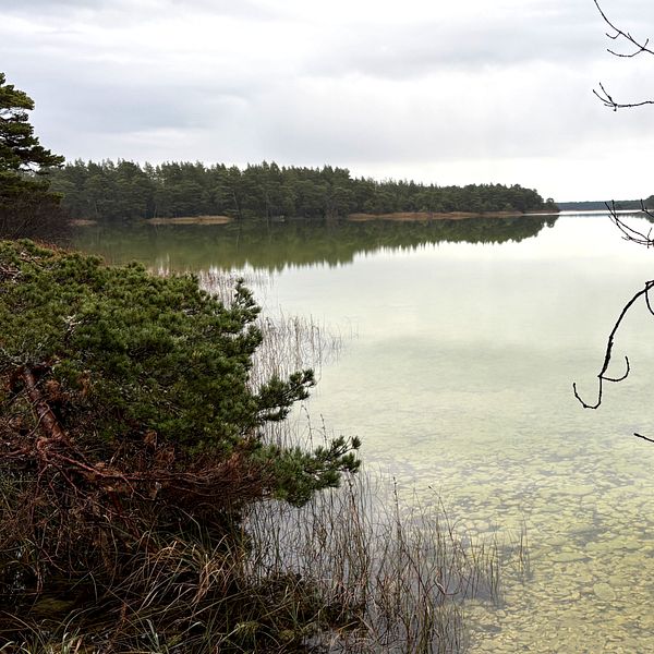 Tvådelad bild. Till vänster Karolina Johansson i grön jacka i ett skogsområde. Till höger en bild över sjön Bästeträsk.