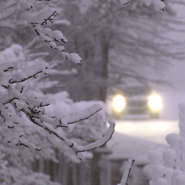Till vänster syns en person klädd i en mörk jacka och mössa, stående i en vintrig miljö med snöklädda träd i bakgrunden. Till höger rör sig en bil sakta på en snötäckt väg, omgiven av snötyngda grenar.