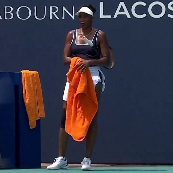 Katt springer in under tennisspelaren Venus Williams match