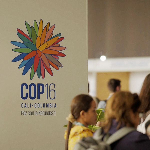 Till vänster ses en person på nära håll i en grönskande miljö, medan höger del av bilden visar en logotyp för COP 16, som hålls i Cali, Colombia, med texten ”Paz con la Naturaleza” under.