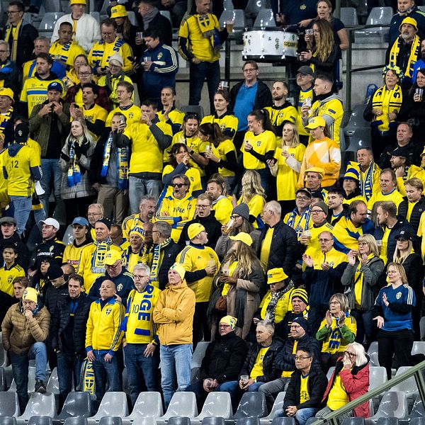 Martin Fredman, säkerhetsansvarige svenska fotbollförbundet samt supportrar på läktaren.