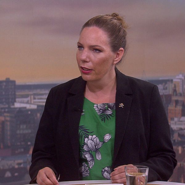 Bild på husfasad och på expert i tv-studio.