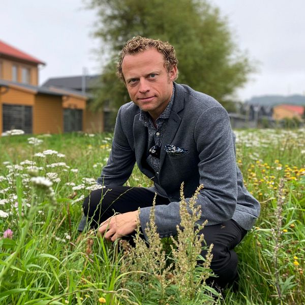 Blommor, verksamhetschef, kommun, gräs.