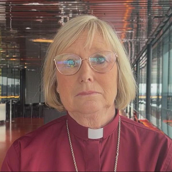 Biskop, svenska kyrkan, domkapitlet.
