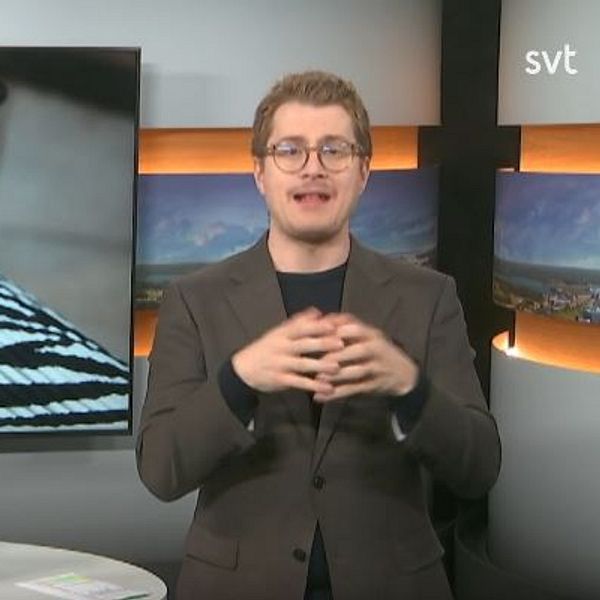 Programledaren tecknar ordet ”team”