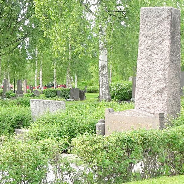 Flera gravstenar på en kyrkogård i Luleå.