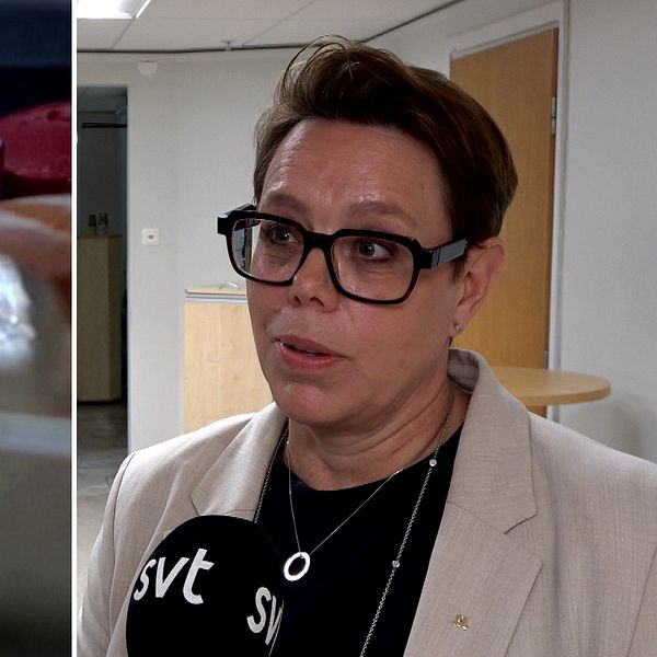 Marie Morell berättar om värdebaserad prissättning för läkemedel