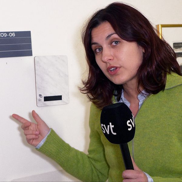 Häng med till korridoren där de politiska vildarna jobbar, och hör Jamal El-Hajs tips sin nya kontorsgranne Lorena Delgado Varas.