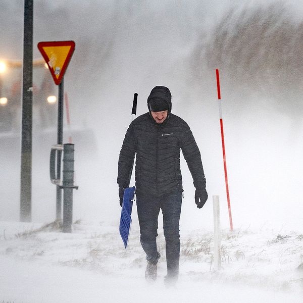 SVT:s meteorolog Pererik Åberg / En person kämpar mot hård vind i snön