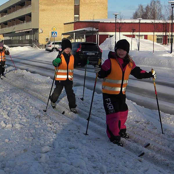 Barn på skidor i orangea västar åker skidor på led intill en bilväg.