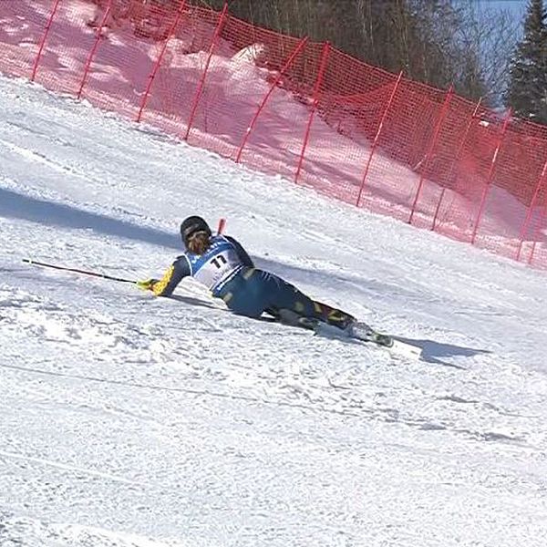 Anna Swenn Larsson