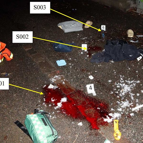 Polisens förundersökning
