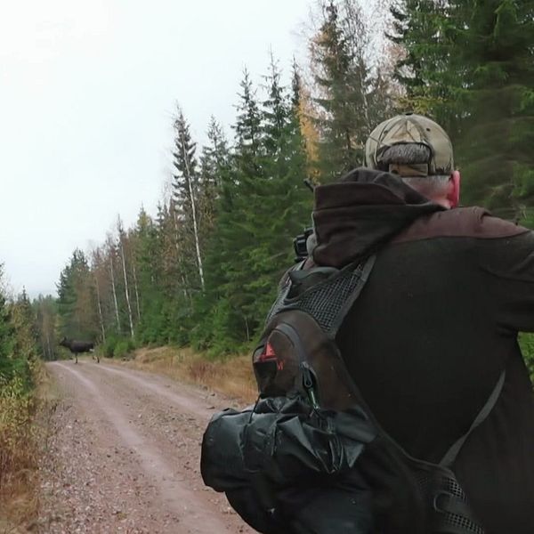 En man med ryggsäcken står på en grusväg omgiven av tät skog. Han vänder sig mot skogsängen framför sig, där en annan människa eller ett djur kan skymtas i bakgrunden. Träden varierar i höjd och typ, och det är en mulen dag med delvis dämpat ljus.