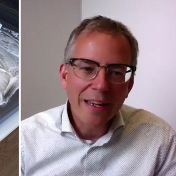 Hör Ulf Ellervik, professor i kemi, förklara varför det fungerar att städa med bikarbonat och ättika.