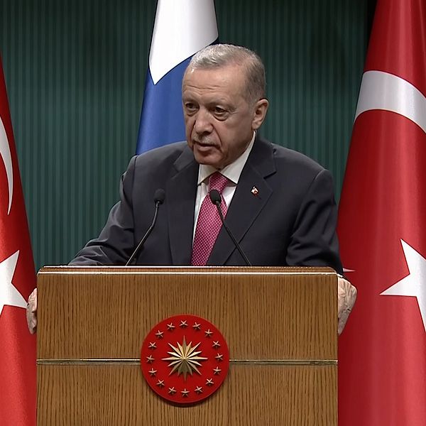 SVT:s Turkietkorrespondent Tomas Thorén och Turkiets president Erdogan.