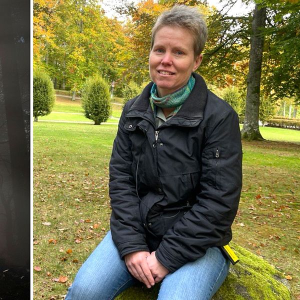 En delad bild med två sektioner: till vänster syns en silhouett av en person som går genom en dimmig skog med strålar av ljus som sipprar genom träden. Till höger sitter en person på en grön gräsyta omgiven av träd och buskar, iförd en svart jacka och en halsduk.