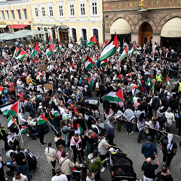 tvådelad bild på svt:s reporter och pro-palestinska demonstrationer