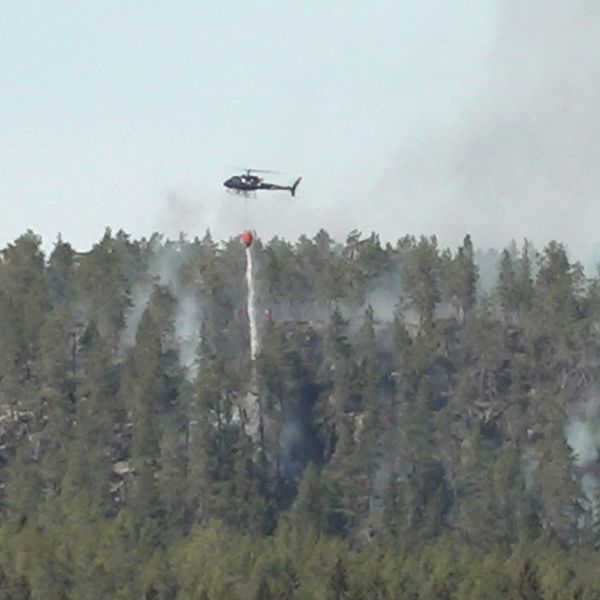 Inre befäl Peter Karlborg på räddningstjänsten i Halmstad och en helikopter som släcker skogsbrand.