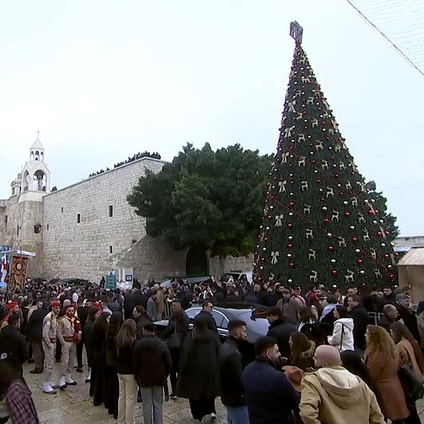 Julgran och födelsekyrkan i Betlehem, samt en tomteparad.