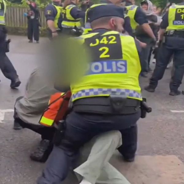 Polisen sliter ner demonstranter vid Lundagård