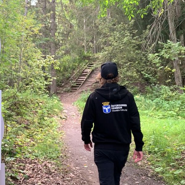 Traskar på stig i skogen