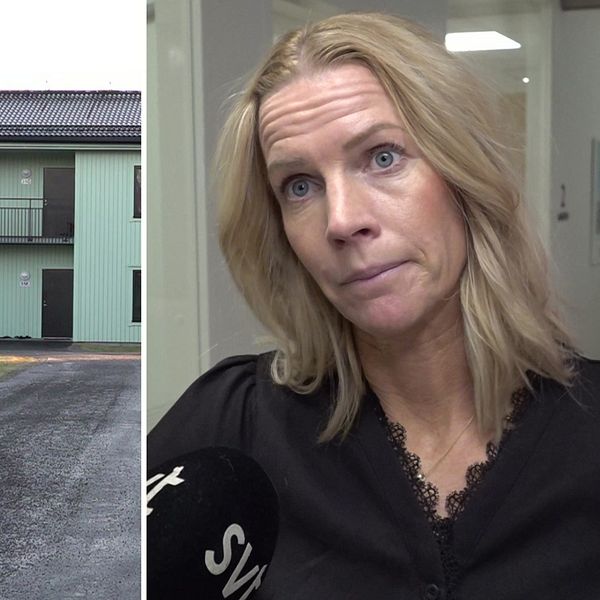 Bostäder och en bild på Anna Ersson vid Skebo.