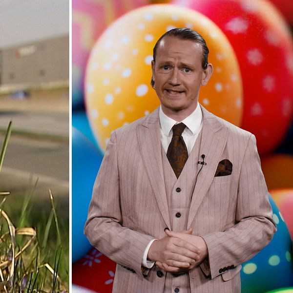 Tudelad bild. Vänster: blommor vid vägkant, lastbil passerar. Höger: reporter Axel Rydén  i beige kostym.