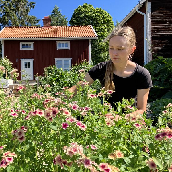Sofia Hölaas Borén, trädgårdsmästare och värd för Solbacka Småbruk