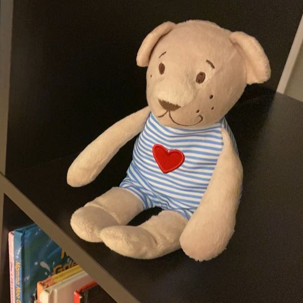 Delad bild. Vänster: En person i vit skjorta sitter inomhus. Höger: Gosedjur på en bokhylla.
