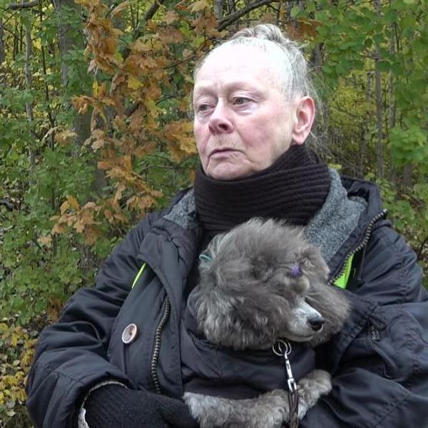 älgkalv och kvinna med hund