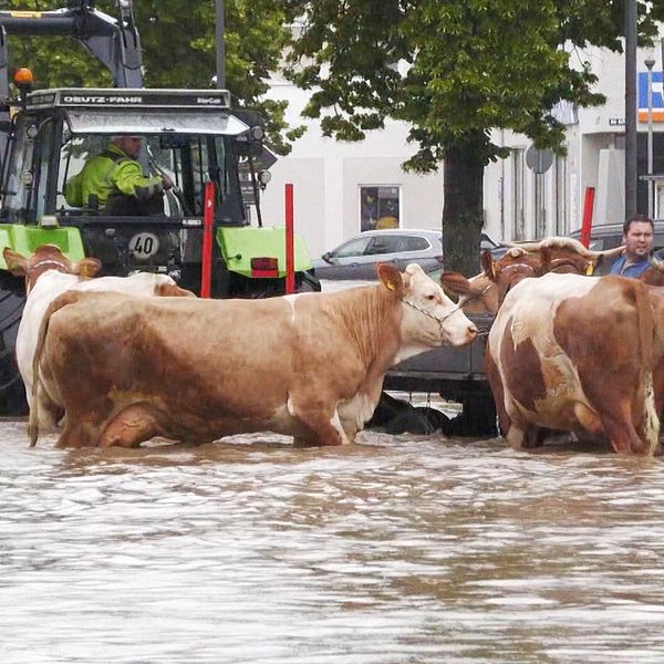 Människor räddas från översvämningar i staden Babenhausen, där stora delar av bilar täckts helt av vattenmassorna.