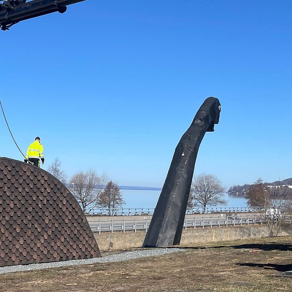 Tre byggarbetare monterar en stor träskulptur, Sjöodjuret Nessie vid vattnet med hjälp av kran.