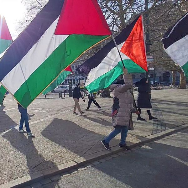 Demonstration i Malmö