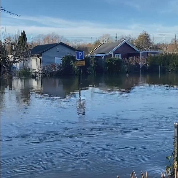 Anna-Karin Baltzari Danfors ger råd om du drabbas av en översvämning