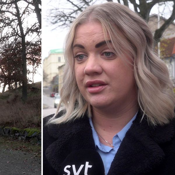En delad bild som visar en lugn landsväg omgiven av träd med två byggnader i bakgrunden. Till vänster syns två hus, ett gult och ett rött, medan den högra delen visar en person med blont hår i en mörk jacka. Det är Elina Gustafsson (S).