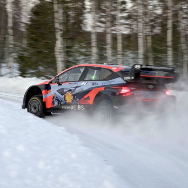 Till vänster syns två renar som står bland snötyngda buskar i en vinterlandskap, medan höger sektion visar en racingbil som driver genom snön på en isig väg, med snö som sprutar upp bakom den.